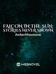 Falcon in the sun: stories never shown Book