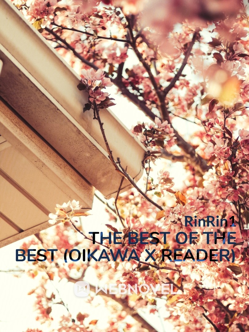 The Best Of The Best (Oikawa x reader) Book