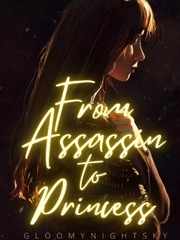 From Assassin to Princess Book