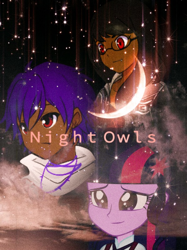 Night Owls Book