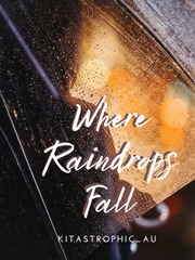 Where Raindrops Fall Book