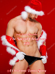 The Special Christmas gift [Sample Novel] Book