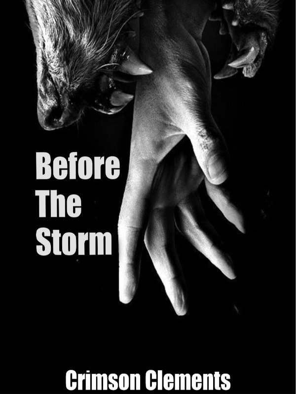 Before the Storm: Book One