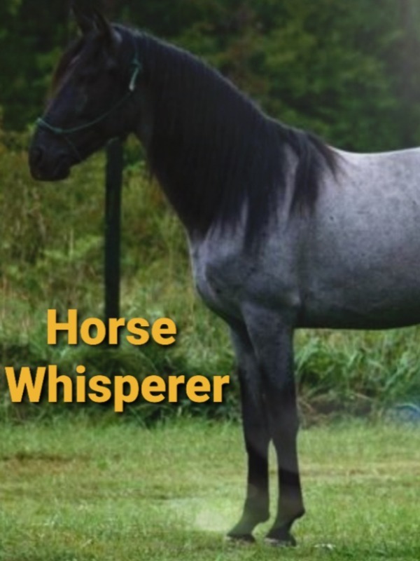 Horse Whisperer Book