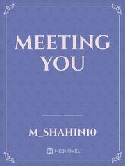 MEETING YOU Book