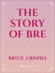 the story of bre Book