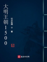 大明王朝1500 Book