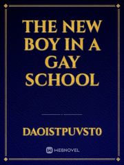 The new boy in a gay school Book