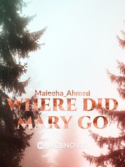 WHERE DID MARY GO Book