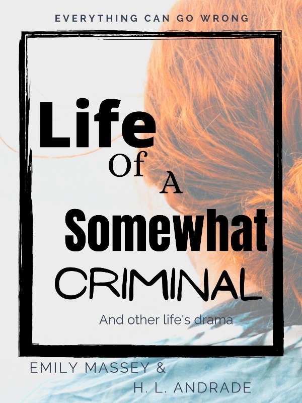 Life of a Somewhat Criminal Book