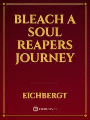 Bleach a Soul Reapers Journey Book
