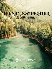 The Shadow Fighter Book