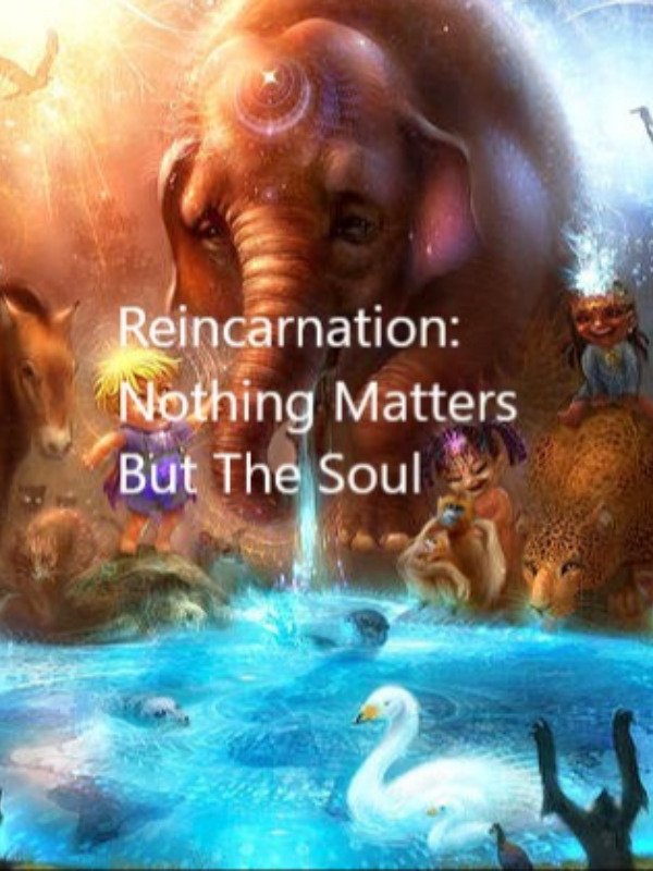 Reincarnation: Nothing matters but the Soul! Book