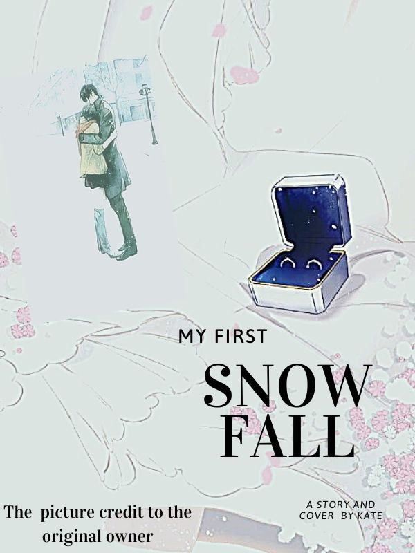 My first snow fall Book