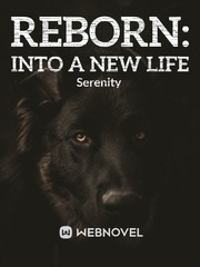 Reborn: Into A New Life Book