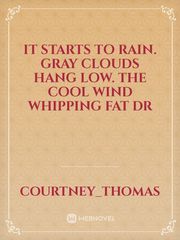 It starts to rain. Gray clouds hang low. The cool wind whipping fat dr Book