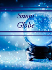 Snow Globe Book