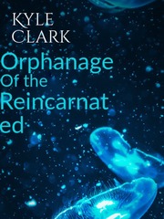 Orphanage of the reincarnated Book