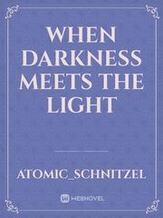 When Darkness Meets the Light Book