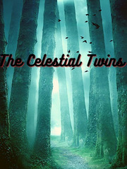 The Celestial Twins Book