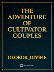 The Adventure of Cultivator Couples Book