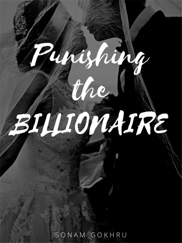 Punishing the Billionaire Book