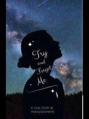 Try and forget me Book