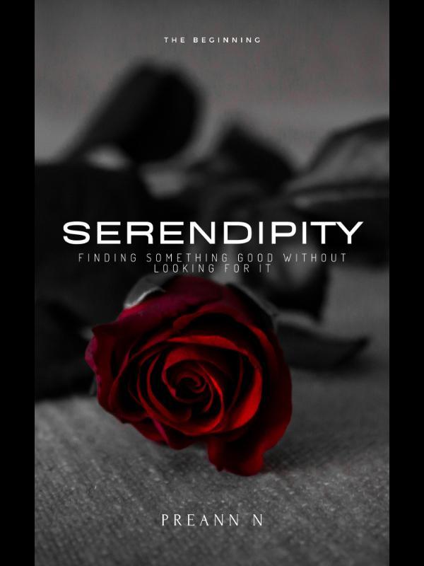 Serendipity Book
