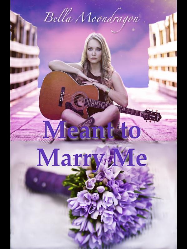 Meant to Marry Me Book