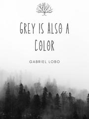 Grey is Also a Color Book