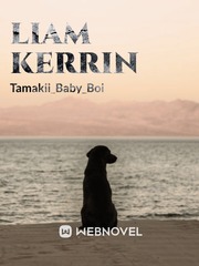 Liam Kerrin Book