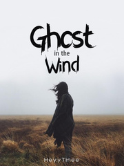 Ghost in the Wind Book
