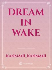 Dream in wake Book