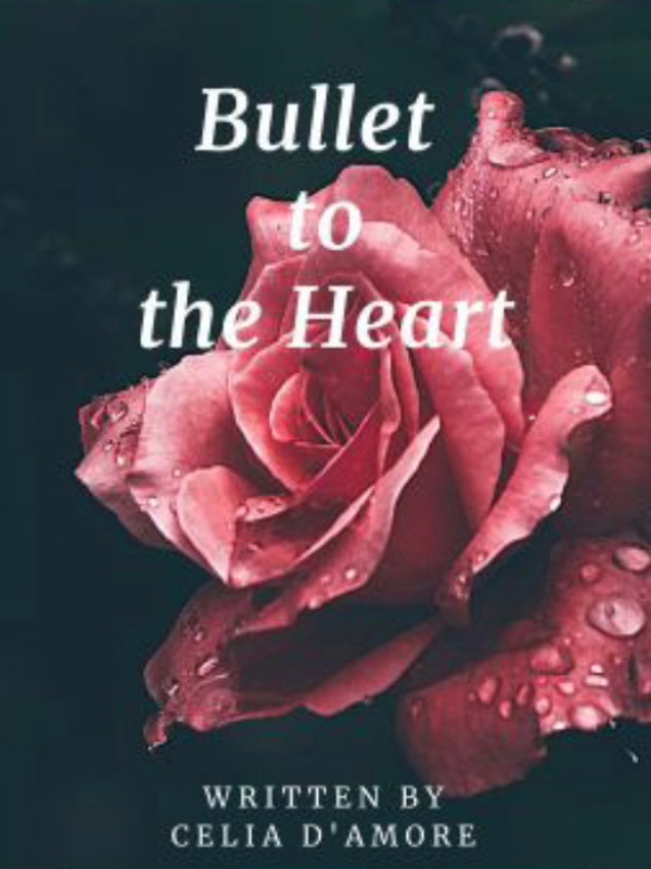 Bullet to the Heart Book