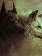The Last She Wolf Book