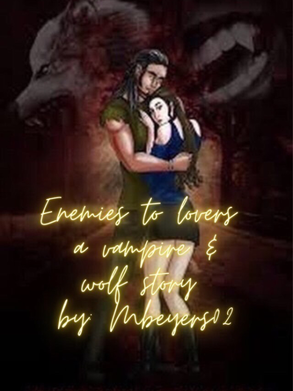 Enemies to lovers: a wolf and vampire story Book
