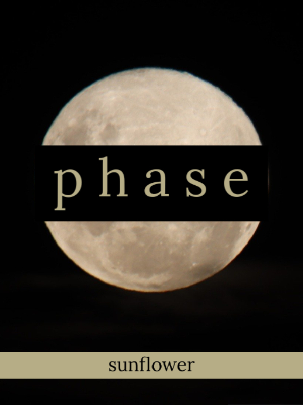 phase || a dreamnotfound royalty au Book