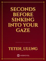 seconds before sinking into your gaze Book