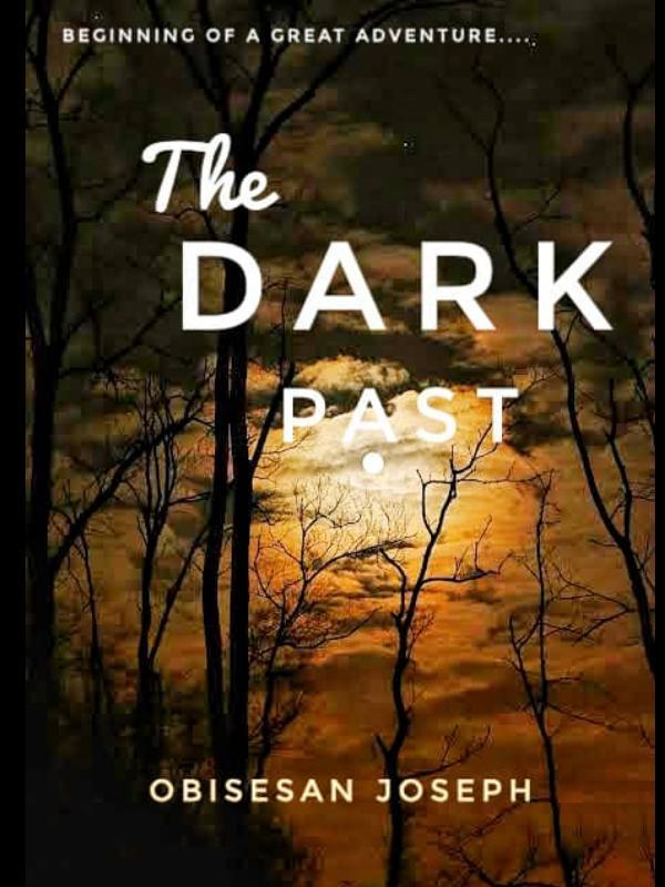 The Dark Past Book