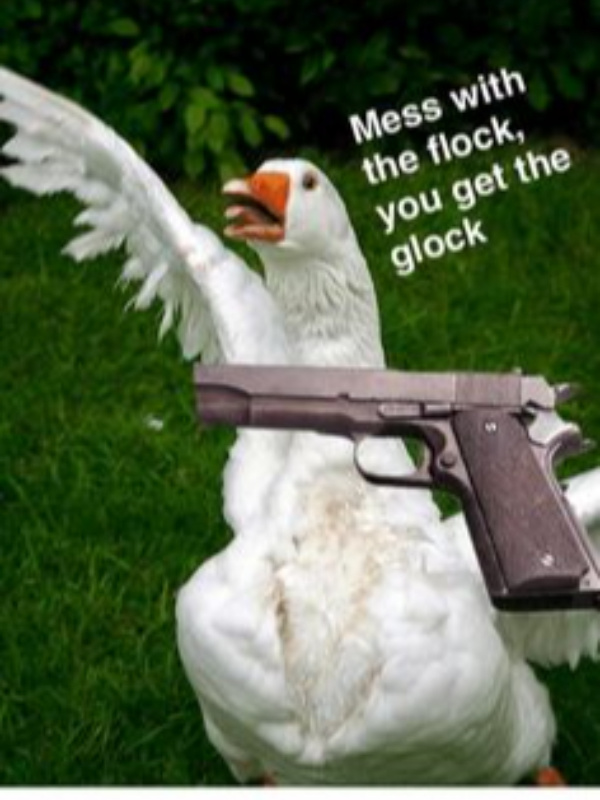 Goose with Glock