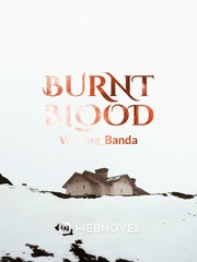 Burnt Blood: Story of Fire Book