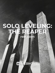 Solo Leveling: The Reaper Book