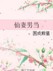 Heavenly Wife - By Kun Cheng Xiong Mao Book