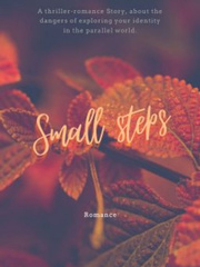 Small Steps Book
