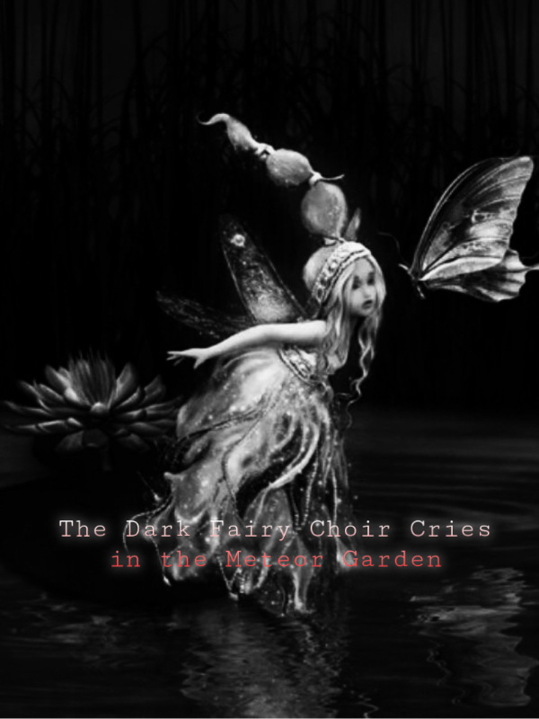 The Dark Fairy Choir Cries in the Meteor Garden Book