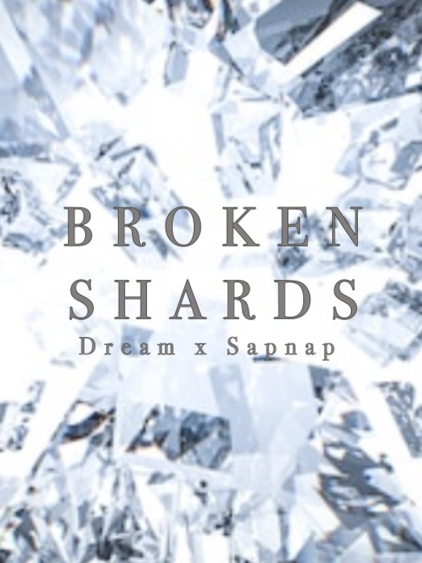 Broken Shards (DreamNap) Book