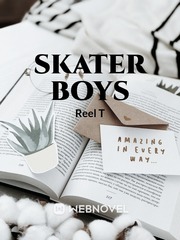 Skater Boys Book