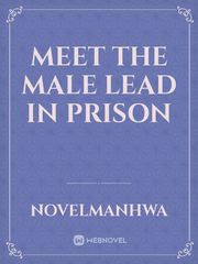 Meet The Male Lead in Prison Book
