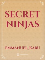 Secret ninjas Book