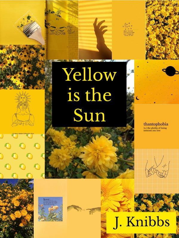 Yellow is the Sun Book